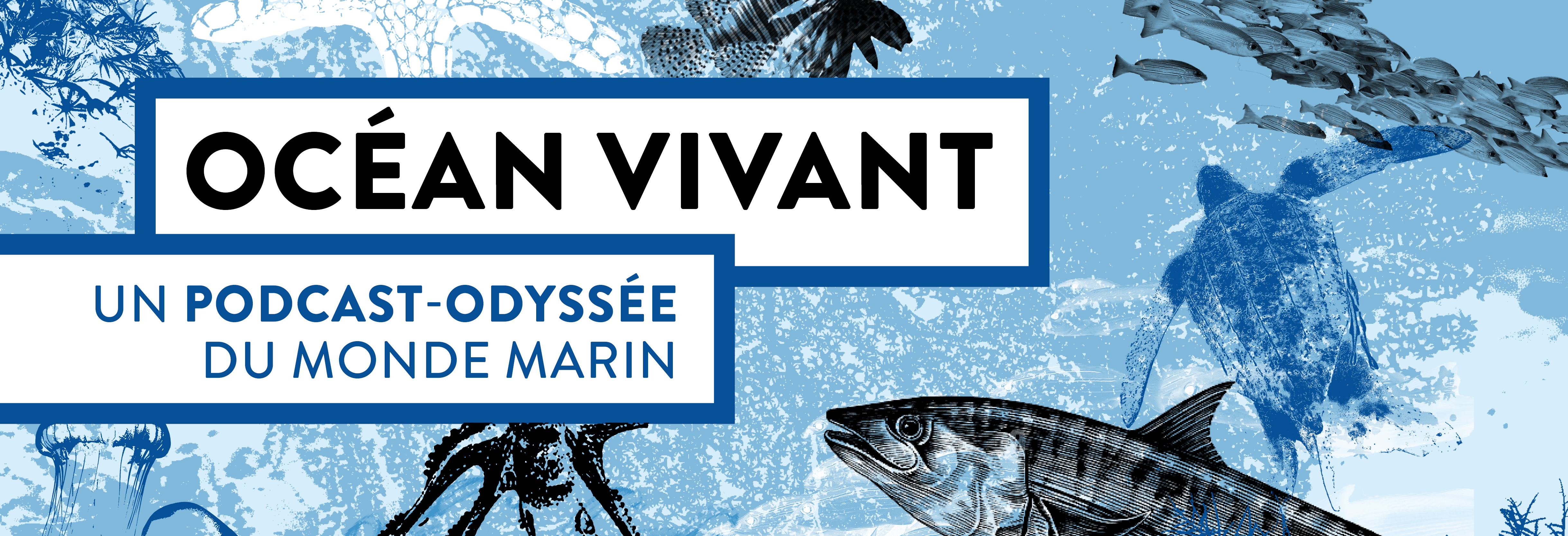 Océan vivant !