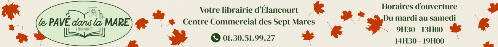 Pavé dans la Mare