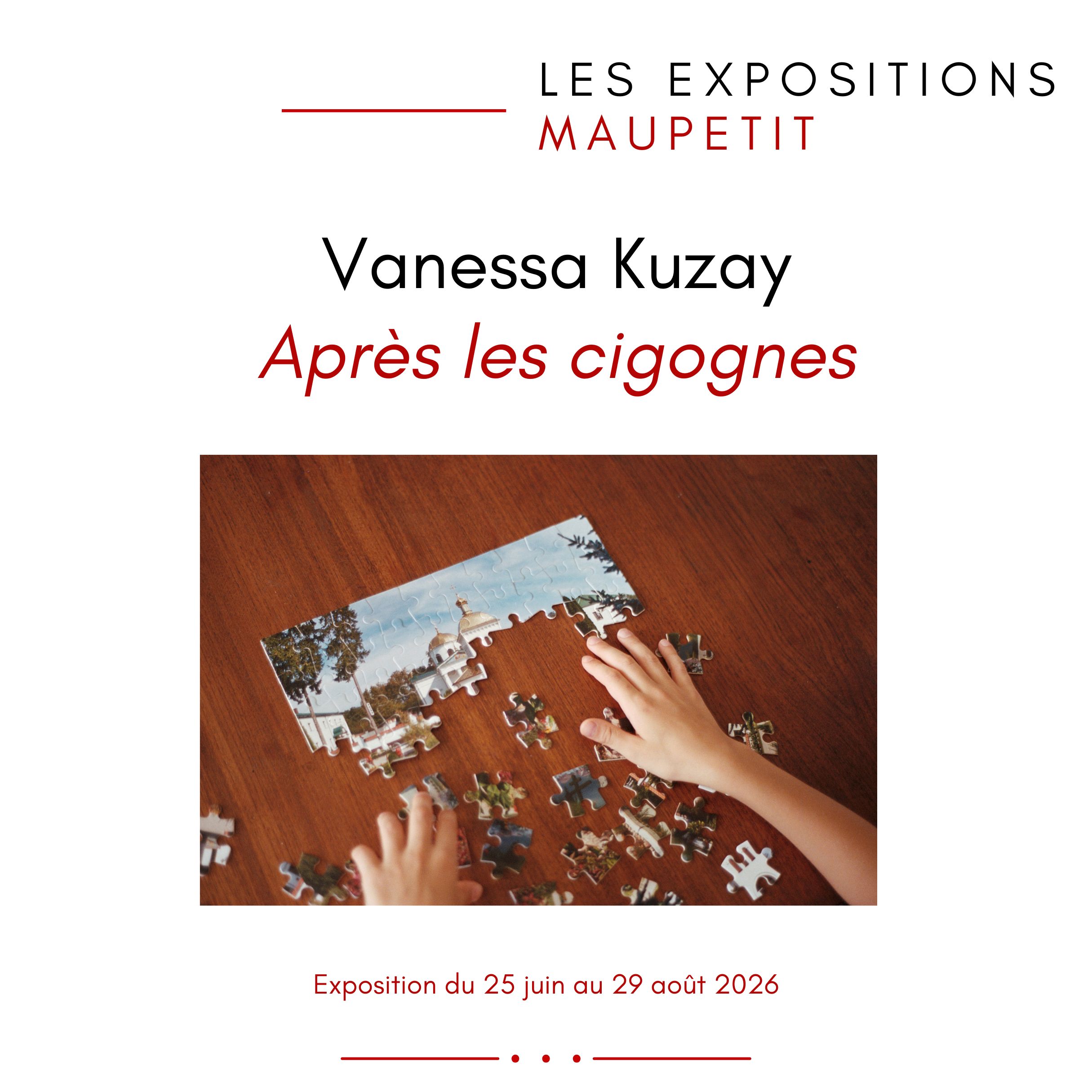 Vanessa Kuzay - Après les cigognes