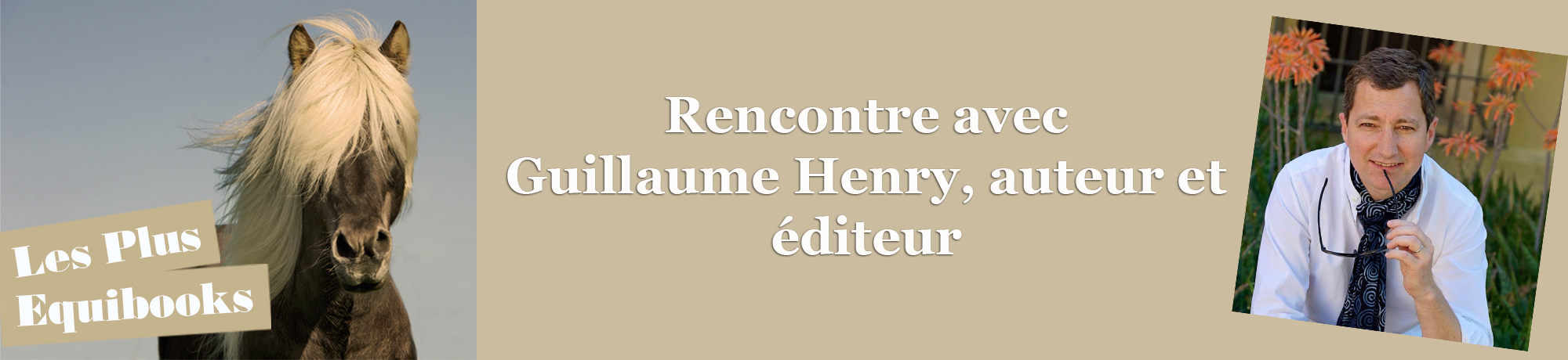 n°1 / Rencontre avec Guillaume Henry, auteur et éditeur