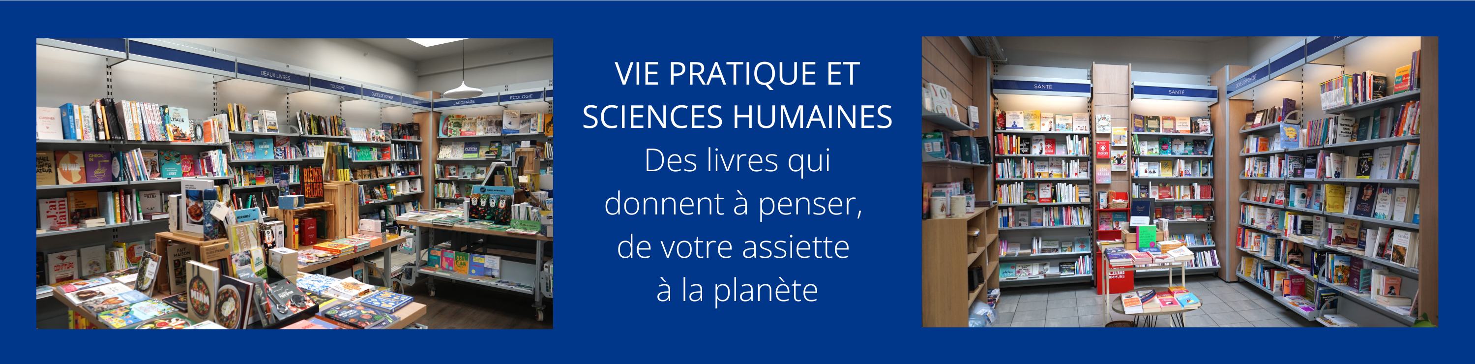 Sciences humaines et vie pratique