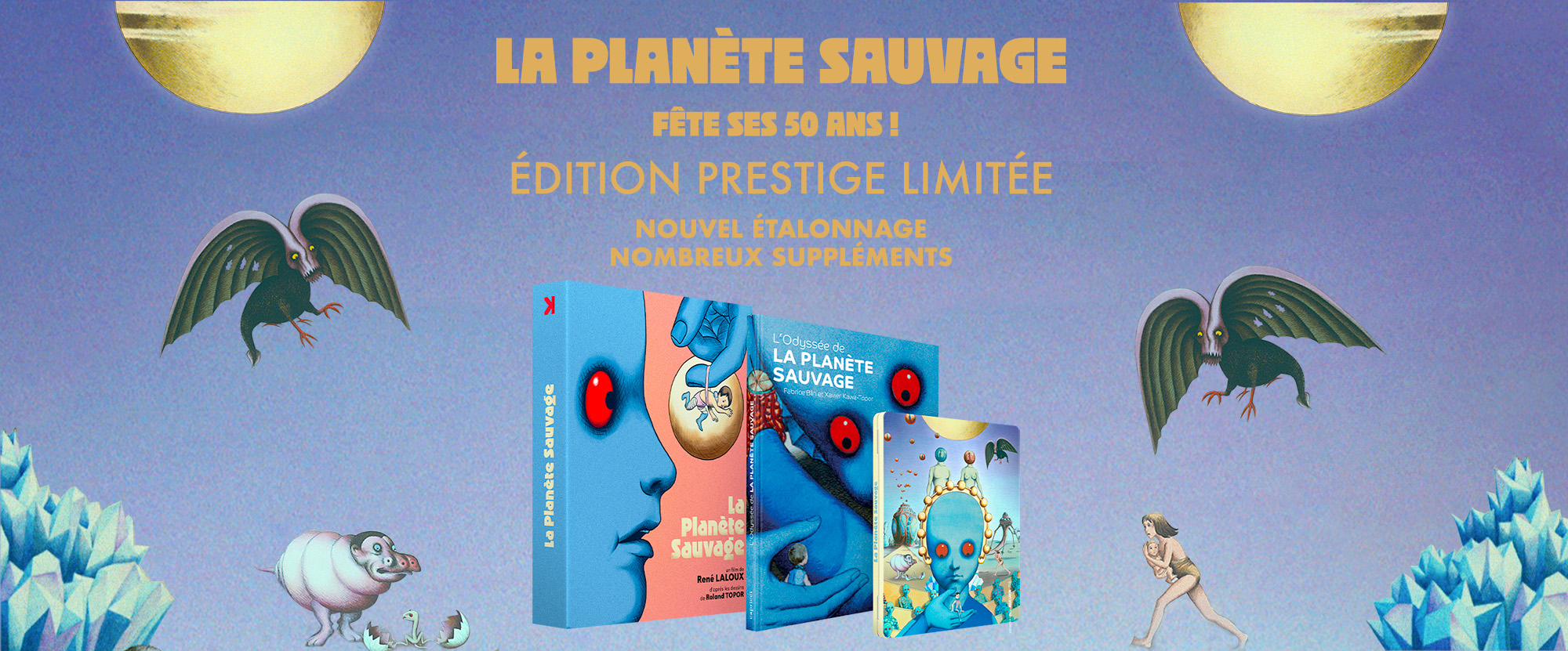 Retour - Coffret Ultra Collector 23 - Blu-ray + DVD + Livre – La Boutique  Carlotta Films