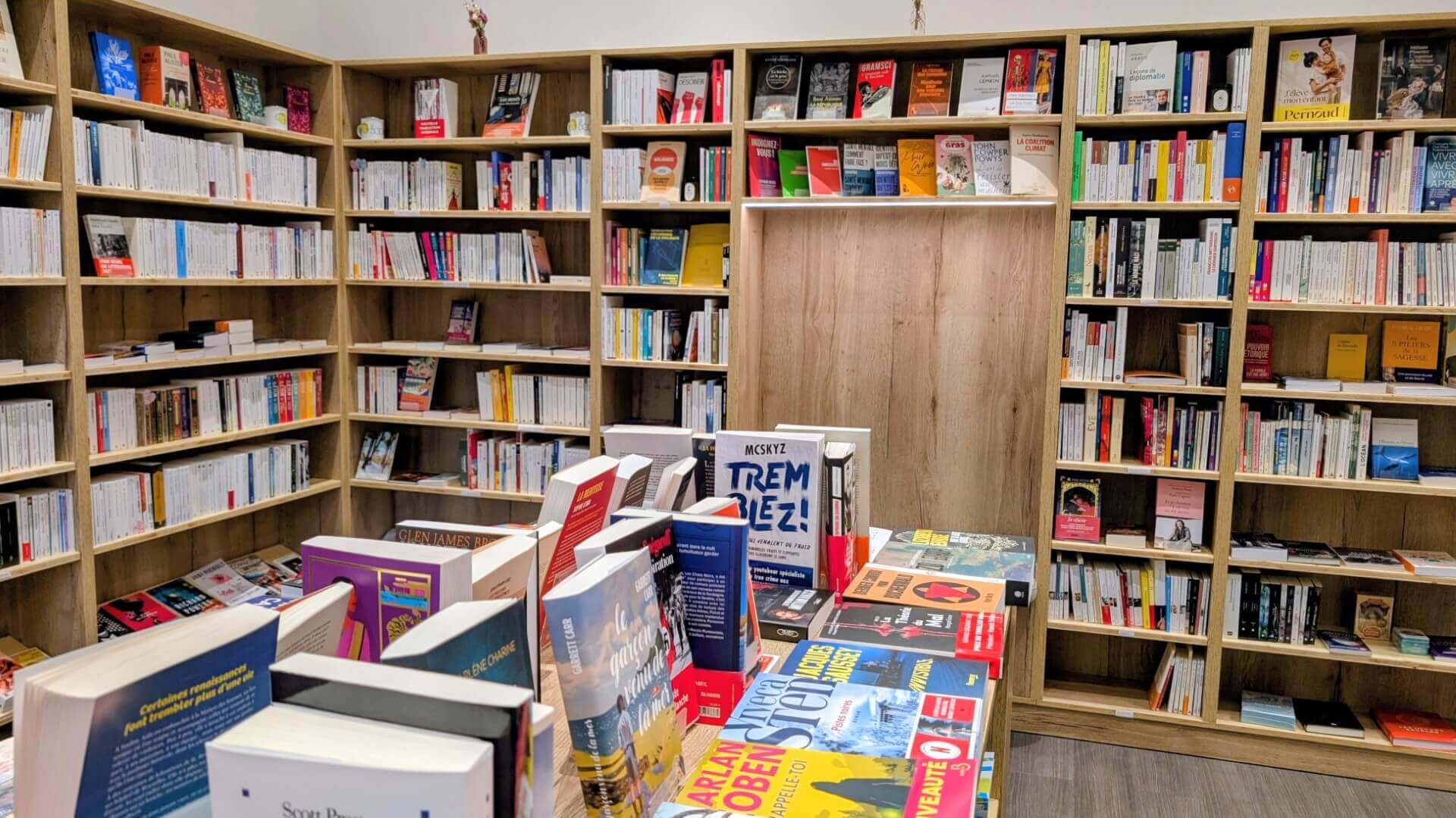 bibliothèques avec des livres