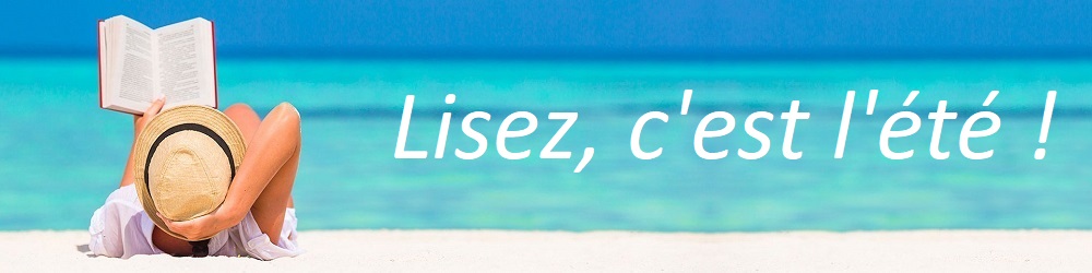 Lectures d'été: la selection des libraires du Brouillon