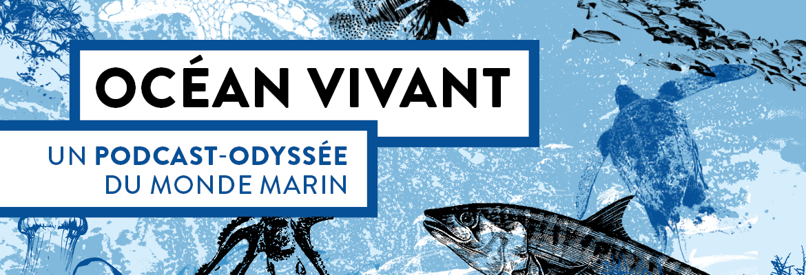 Océan Vivant